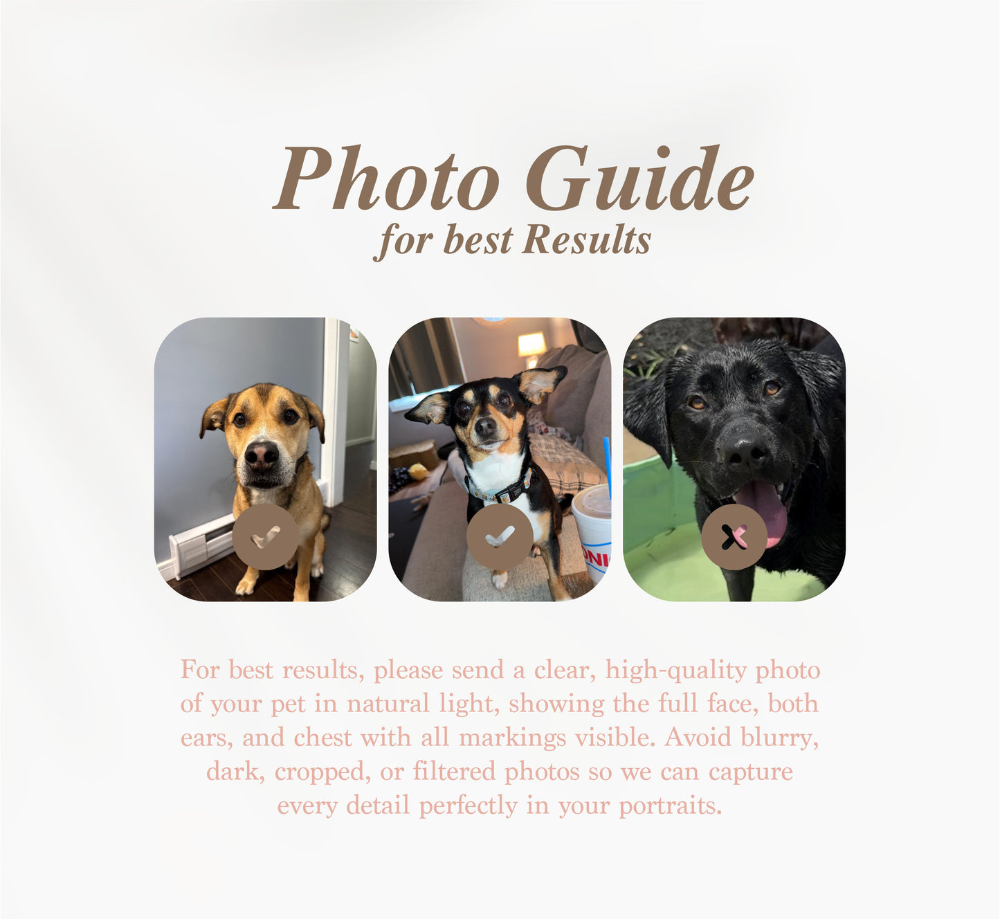 Custom Watercolor Pet Portrait