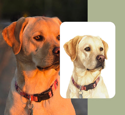 Custom watercolor portrait of a yellow Labrador Retriever wearing a patterned collar, shown beside the original photo — personalized dog portrait from photo