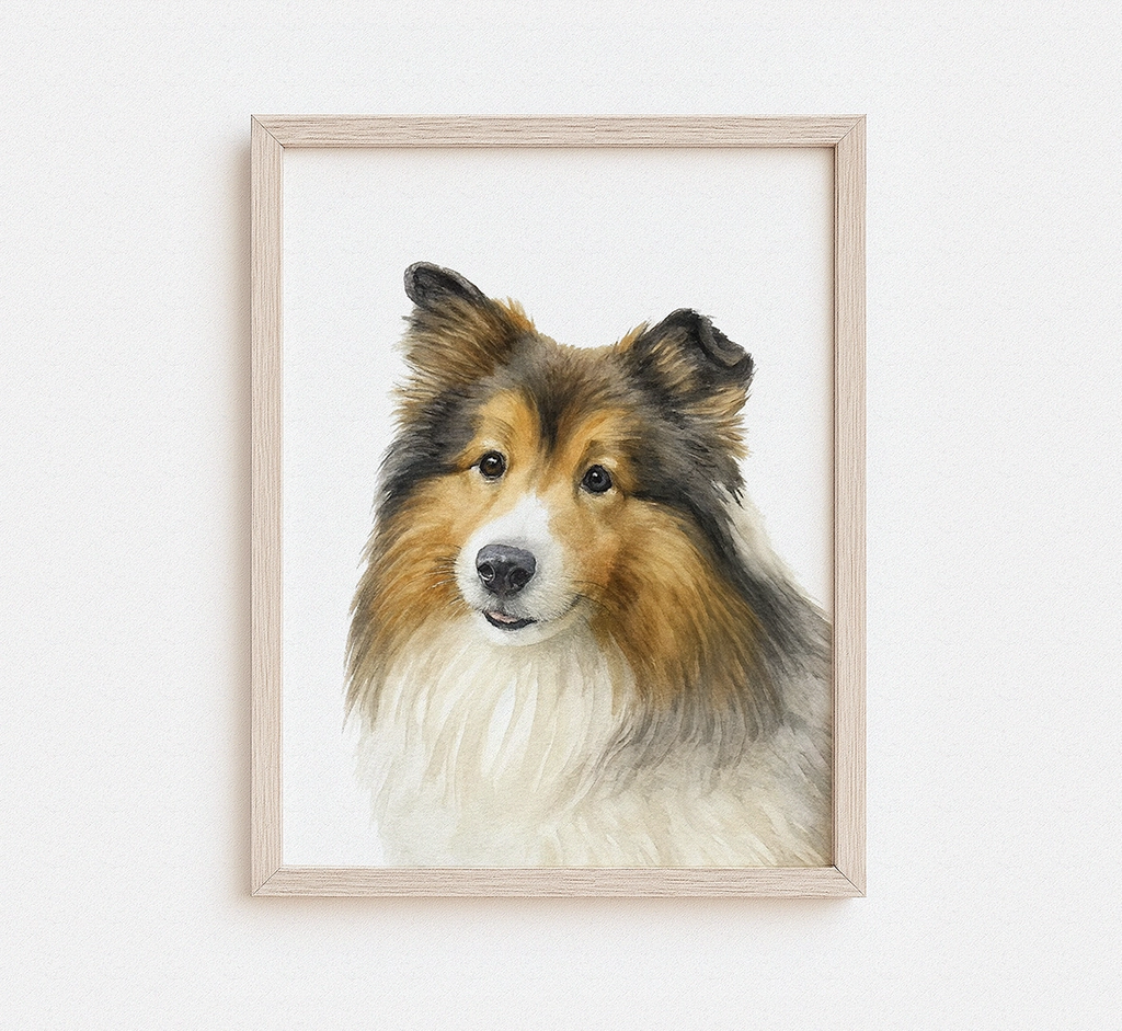 Custom watercolor portrait of a Shetland Sheepdog with a flowing mane in a natural wood frame — personalized Sheltie dog portrait from photo

