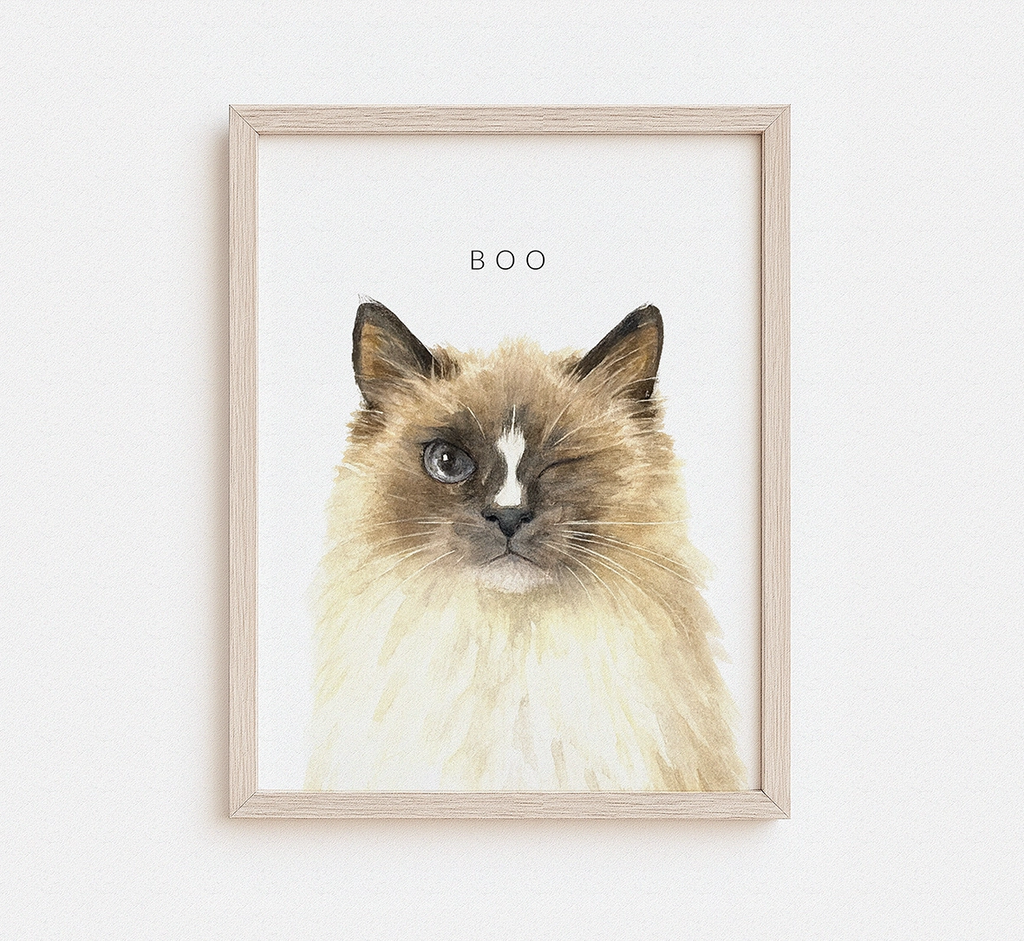 Custom watercolor portrait of a fluffy Himalayan cat named Boo in a natural wood frame — personalized cat portrait print from photo