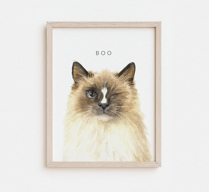 Custom watercolor portrait of a fluffy Himalayan cat named Boo in a natural wood frame — personalized cat portrait print from photo