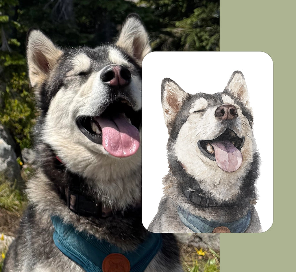 Custom watercolor portrait of a smiling Alaskan Malamute with eyes closed and tongue out, shown beside the original photo — personalized dog portrait from photo
