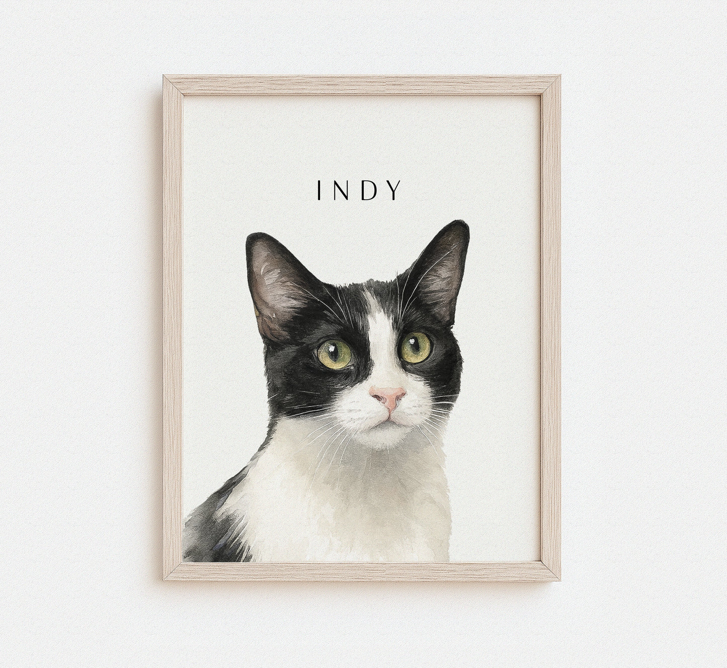 Framed portrait of a black and white cat named Indy on a white background