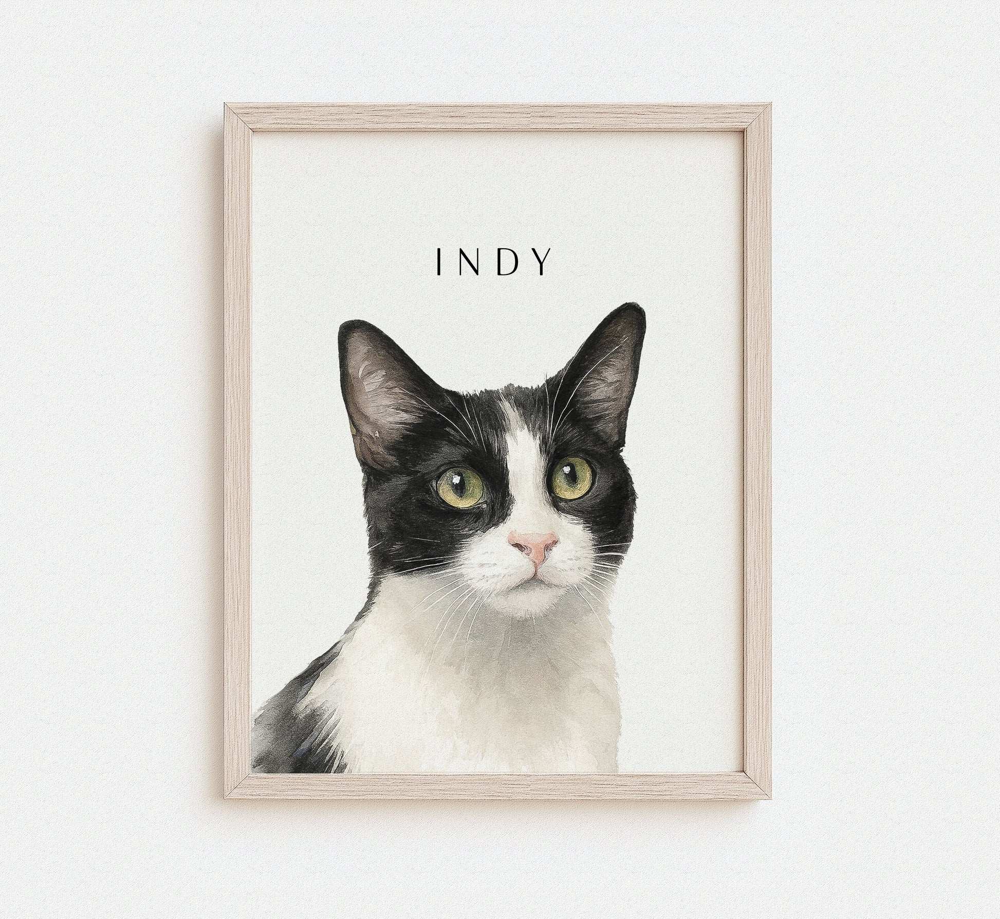 Framed portrait of a black and white cat named Indy on a white background
