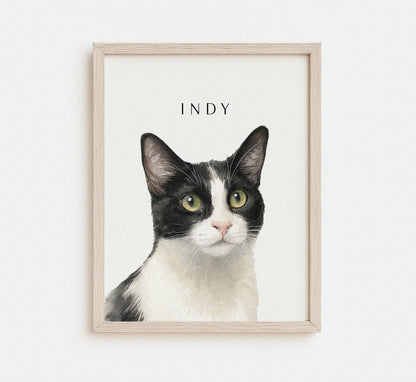 Framed portrait of a black and white cat named Indy on a white background