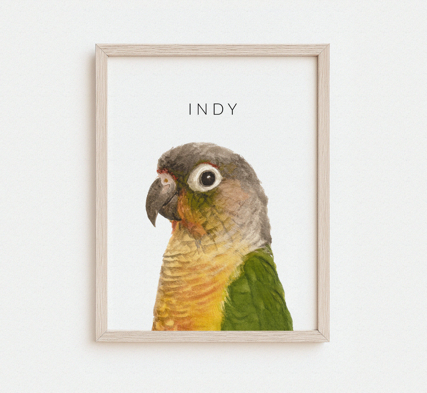 Framed artwork of a parrot with 'INDY' text on a white background